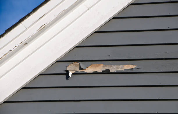 Best Siding Removal and Disposal  in Hustisford, WI